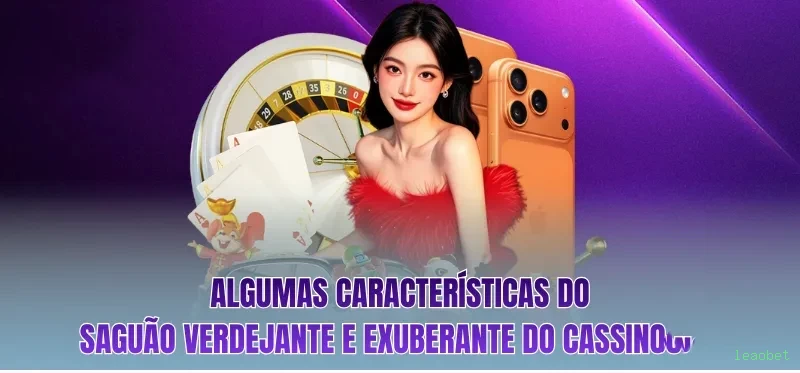 Guias de instalação da leaobet